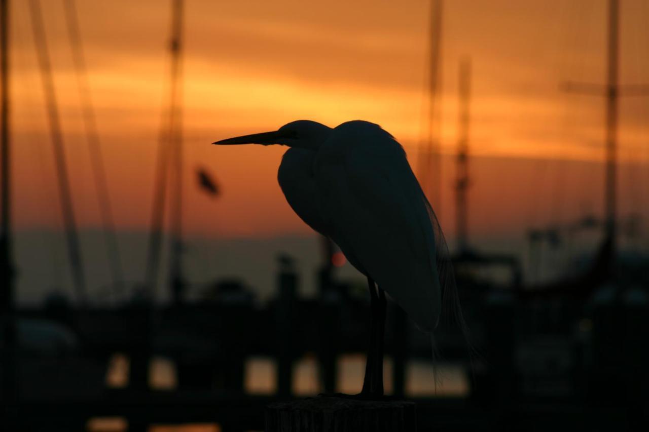 Whooping Crane Manor B & B ร็อกพอร์ต ภายนอก รูปภาพ